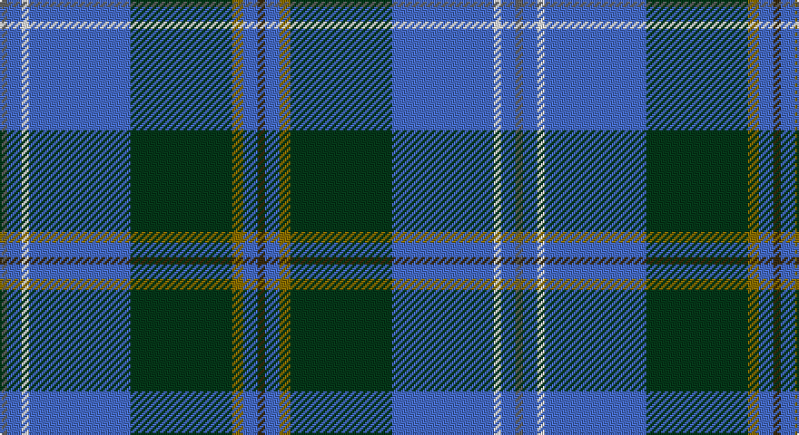 N/4 B8 W4 B56 DG56 Y6 B8 DY/4 tartan