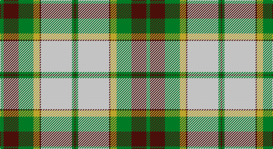 G/6 DR24 G24 LY10 DR2 W50 G4 DR/2 tartan