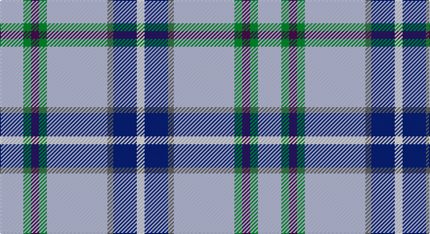 LB/24 G8 DP8 G8 LB62 N6 DB24 W/8 tartan