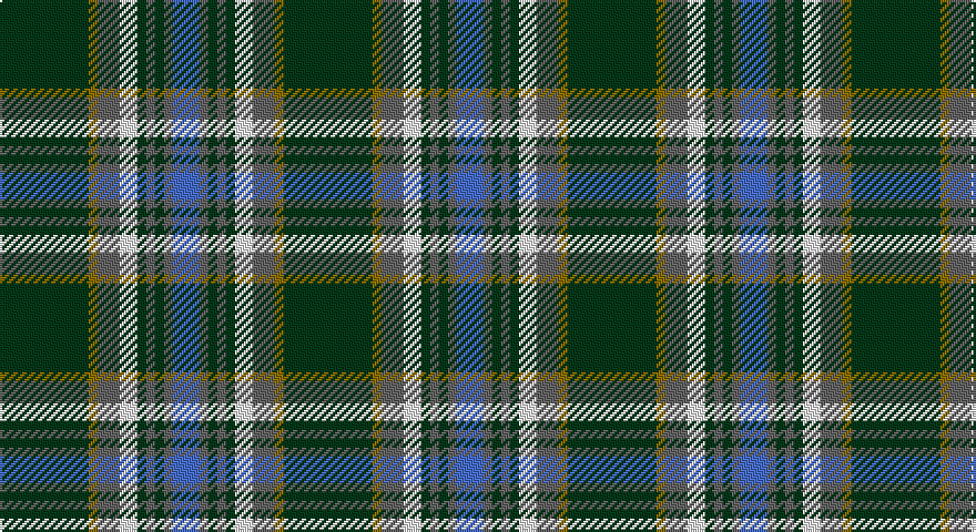 DG/40 Y4 N10 W8 DG4 N4 DG4 N4 B/12 tartan