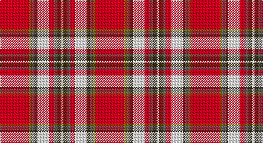 R/48 Y4 N6 DY4 W20 R8 N6 DY6 W/4 tartan