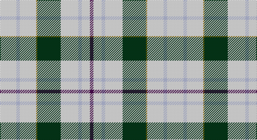W/28 LB6 W28 Y2 DG40 W30 LB6 W14 DP/6 tartan