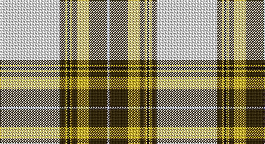 W/100 DY8 LY4 K4 LY4 DY8 LY20 DY30 LB/4 tartan